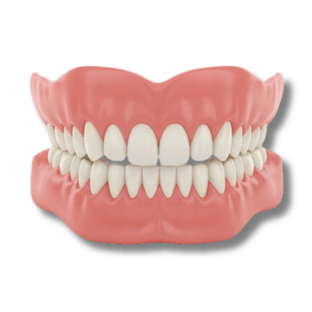 Culmtree™ Denture Set