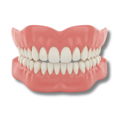 Culmtree™ Denture Set