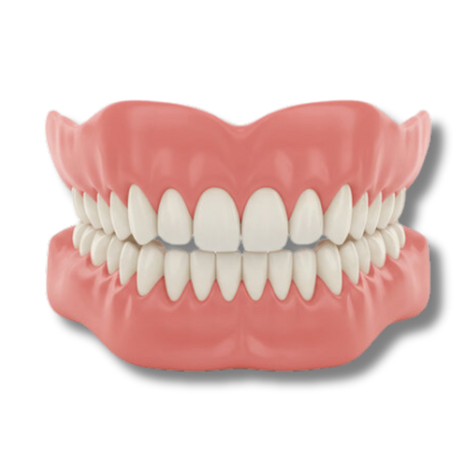 Culmtree™ Denture Set